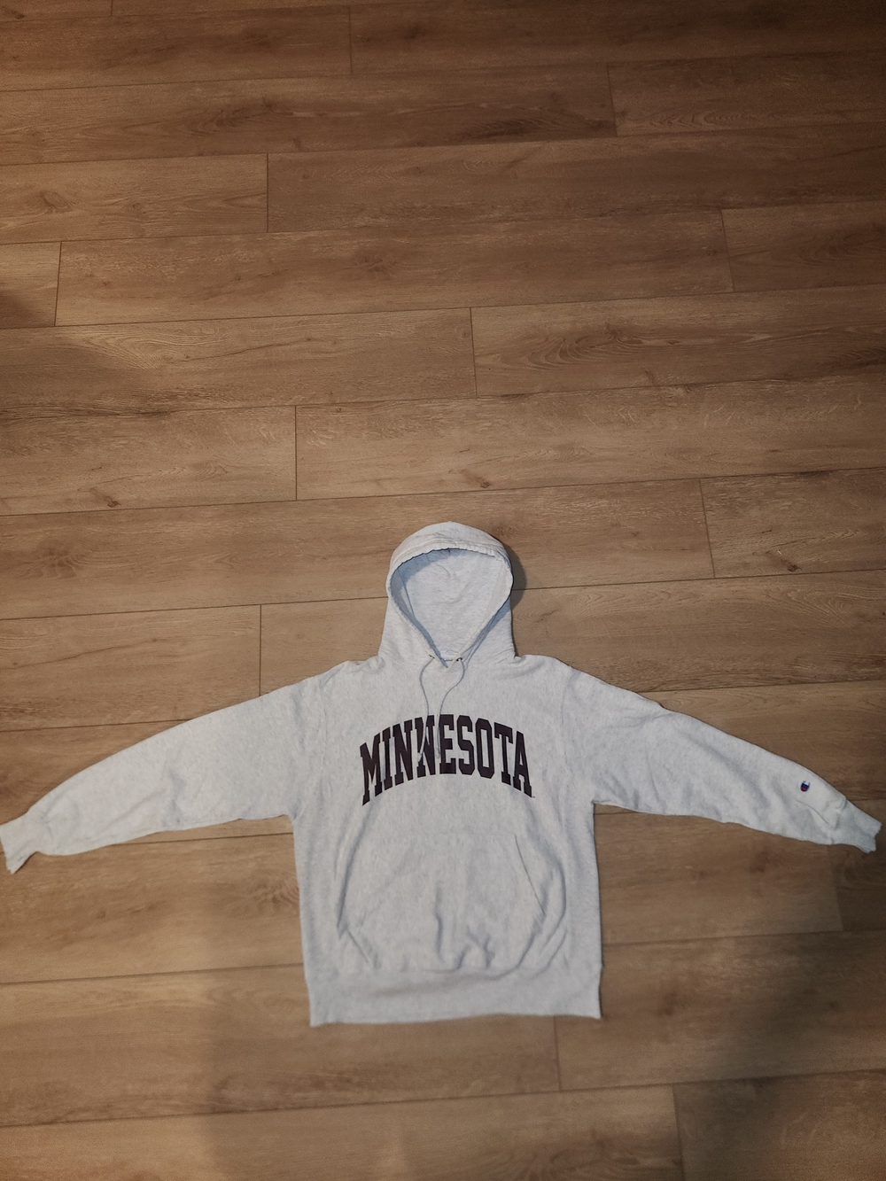 Vintage Y2K Champion Reverse Weave Grey Mens Size Medium Hoodie Like New Conditi